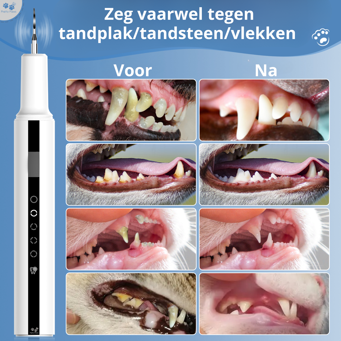 Tandsteen bij honden en katten: een veelvoorkomend probleem dat vaak te laat wordt ontdekt