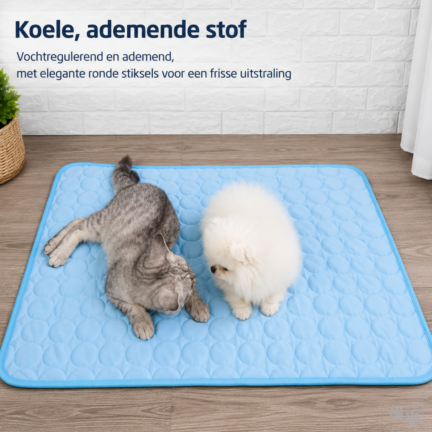 Koelmat