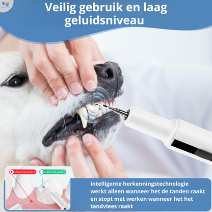 Elektrische Tandsteen Verwijderaar Set