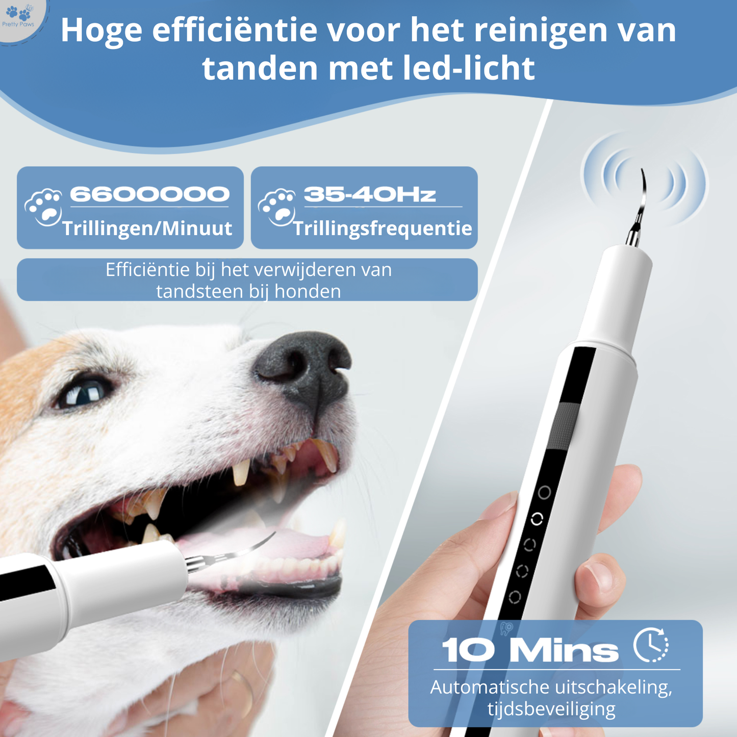 Elektrische Tandsteen Verwijderaar Set