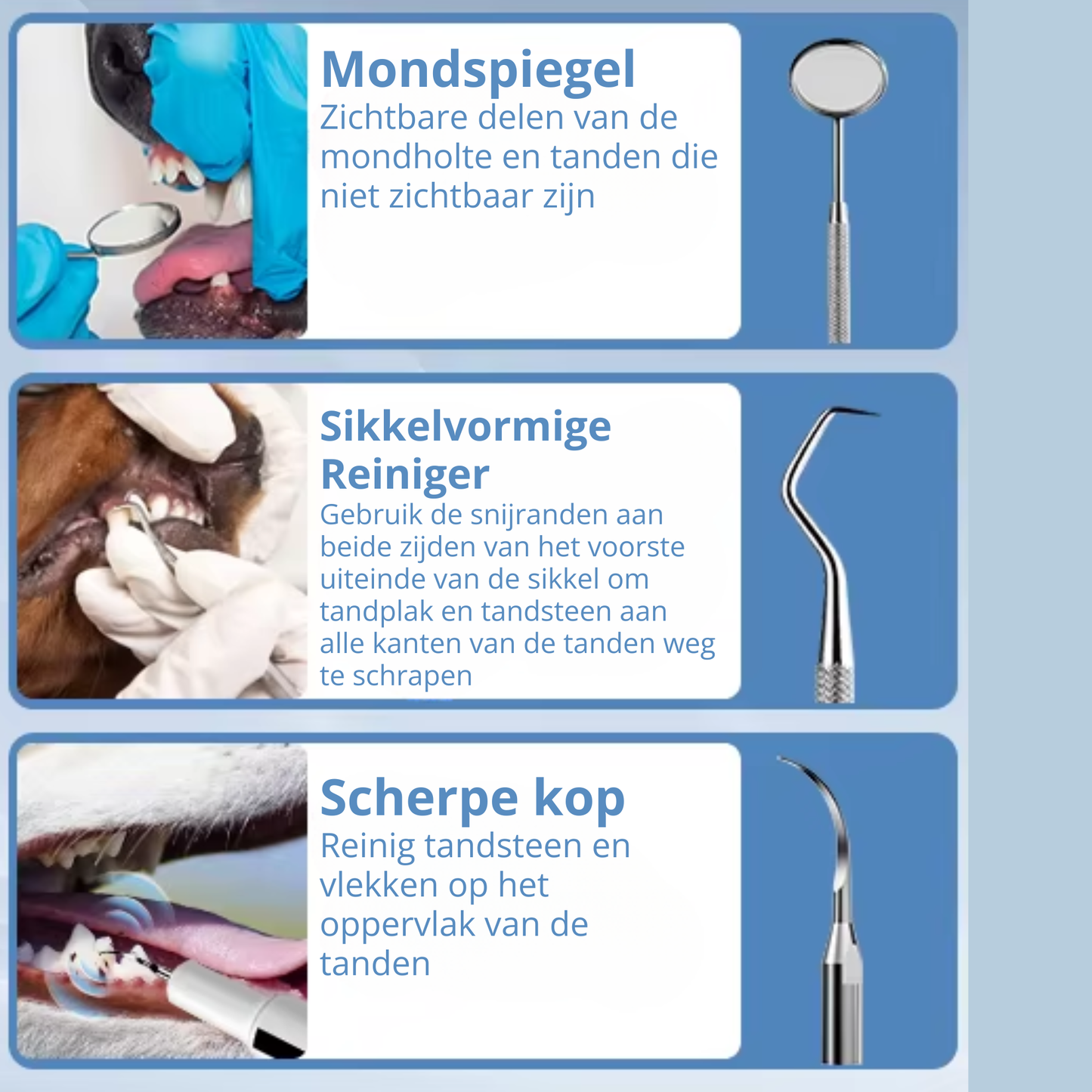 Elektrische Tandsteen Verwijderaar Set
