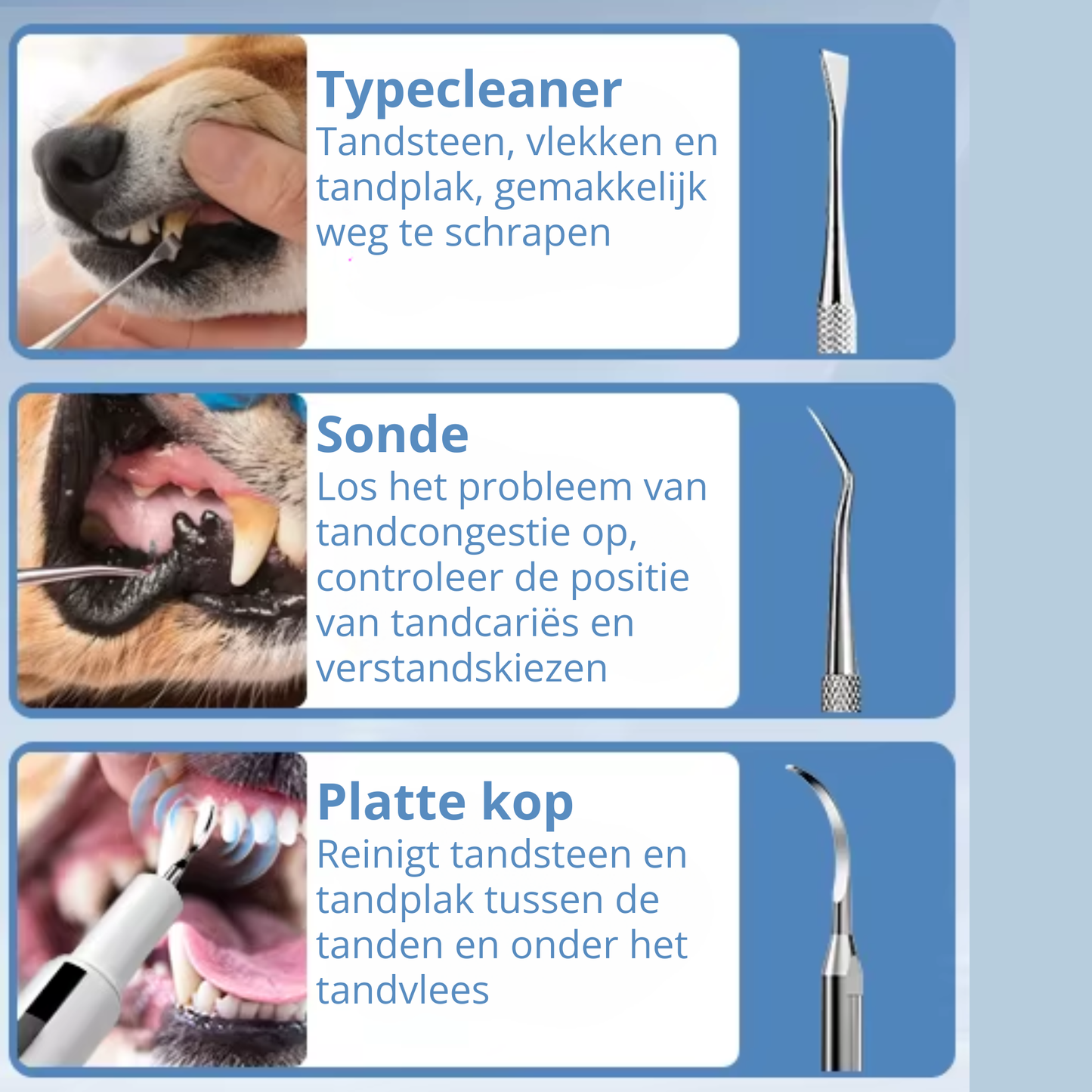 Elektrische Tandsteen Verwijderaar Set
